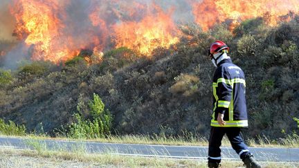 Un pompier lors de l'incendie de Gabian dans l'Hérault, le 10 août 2016. (MAXPPP)