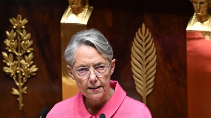 Prime Minister, Elisabeth Borne, at the National Assembly, October 23, 2023. (BERTRAND GUAY / AFP)