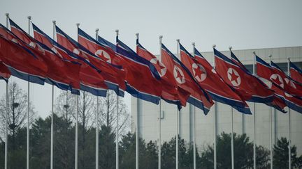 Des drapeaux nord-coréens, en avril 2019, à Pyongyang, en Corée du Nord. (ED JONES / AFP)