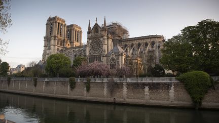 Notre-Dame de Paris, après l'incendie qui a ravagé la cathédrale, le 17 avril 2019. (ERIC FEFERBERG / AFP)