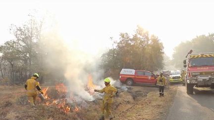 Incendies en Gironde et dans les Landes : le combat contre le feu continue