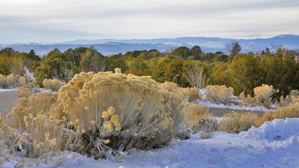 C'est sur les hauteurs de Santa Fe (Nouveau-Mexique, Etats-Unis)&nbsp;que Forrest Fenn pourrait s'enterrer avec son tr&eacute;sor. (HERVE GYSSELS / PHOTONONSTOP)