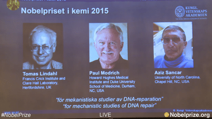 &nbsp; (Les portraits des trois scientifiques récompensés par le prix Nobel de chimie 2015 © Capture d'écran : Nobel Prize)