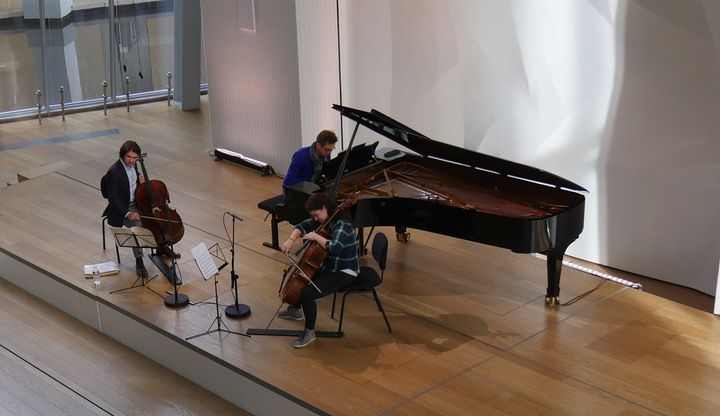 Gautier Capuçon avec Julia Hagen.
 (Lorenzo Ciavarini Azzi/Culturebox)