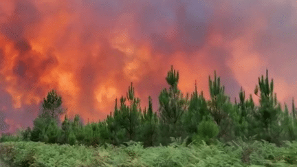 Incendies : les pompiers se préparent aux feux d’été (France 3)