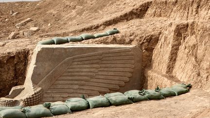 Le lamassu était posté à l'entrée de la cité de Khorsabad, à 15 km au nord de l'actuelle Mossoul dans le nord de l'Irak. (ZAID AL-OBEIDI / AFP)