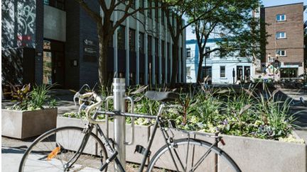 Les locaux de l'agence Rézoway à Montréal, Québec. (Photo Rézoway)