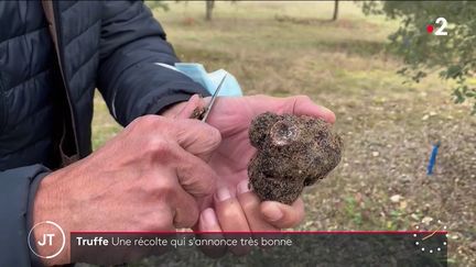 Une truffe dans le Lot. (France 2)