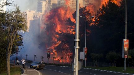 Des habitants de&nbsp;Haïfa (Israël) fuient les incendies, le 24 novembre 2016&nbsp; (ARIEL SCHALIT / AP / SIPA)