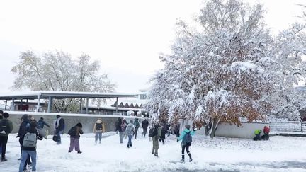 La tempête Caetano a touché le Haut-Rhin. Météo-France a relevé jusqu'à 30 cm de neige en plaine, vendredi 22 novembre, et les pompiers du secteur ont dû intervenir près de 50 fois dans la nuit.