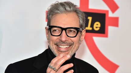 Jeff Goldblum à New York le 20 mars 2018
 (Theo Wargo / Getty Images / AFP)