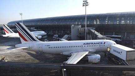 Des avions de la compagnie Air France à Roissy-Charles-de-Gaulle, le 20 janvier 2017. (BERTRAND GUAY / AFP)