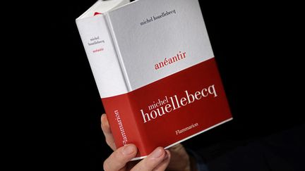 Couverture du roman de Michel Houellebecq, "Anéantir", publié le 7 janvier 2022 aux éditions Flammarion (THOMAS COEX / AFP)