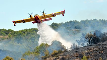 Photo d'illustration d'un Canadair, le 9 août 2017. (MAXPPP)