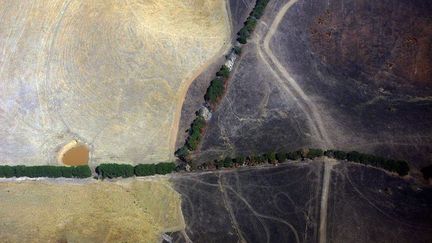 l’Australie, qui n’a pas échappé à la vague de chaleur planétaire, a été frappée par de nombreux incendies.  (REUTERS/David Gray)