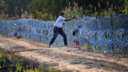 Migrants : la Hongrie érige une clôture de barbelés