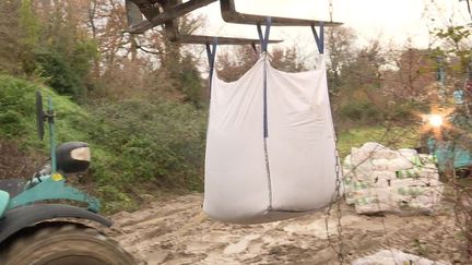 Gironde : des coquilles d'huîtres utilisées avec du ciment pour renforcer un tronçon de route