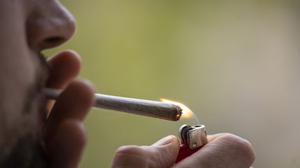 La municipalité écologiste de Bègles souhaite lancer une expérimentation dans la commune sur la légalisation du cannabis (HANNES P ALBERT / DPA)