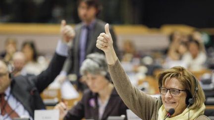 Elles ou ils sont là pour aider leurs collègues à s'en sortir dans le labyrinthe des votes. (European Union 2014-EP)