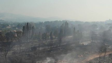 Var : Un incendie dévastateur pour l'écologie