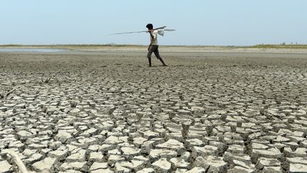 2016, une année sombre pour le climat