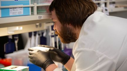 Un chercher étudie l'efficacité de l'hydroxychloroquine pour traiter le Covid-19 à l'Université du Minnesota, à Minneapolis, le 19 mars 2020. (CRAIG LASSIG / REUTERS)