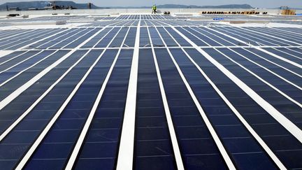 Des panneaux photovoltaïques installés à Laudun, dans le Gard en 2008. (Image d'illustration) (PASCAL GUYOT / AFP)