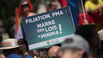 Une pancarte en soutien à la PMA pour toutes est brandie lors de la Marche des fiertés, à Paris, le 29 juin 2019. (ESTELLE RUIZ / NURPHOTO / AFP)