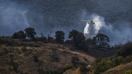 Un avion bombardier d'eau intervient pour lutter contre un incendie à Tavira, au Portugal, le 17 avril 2021. (PATRICIA DE MELO MOREIRA / AFP)