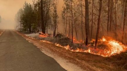 Les incendies sont toujours en cours, dans la soirée du mercredi 10 août en Gironde. Le point avec le journaliste Ben Barnier, en duplex depuis Hostens. (FRANCE 2)