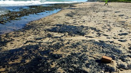 Une photo de la marée noire sur la plage&nbsp;Pontal de Coruripe (nord-est du Brésil), le 7 octobre 2019.&nbsp; (HO / IBAMA / AFP)