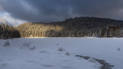 Un paysage enneigé à La Bresse dans les Vosges, le 19 novembre 2024. (JEAN ISENMANN / ONLY FRANCE / AFP)