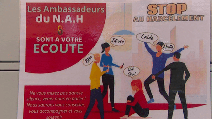 Harcèlement scolaire : des élèves ambassadeurs pour recueillir la parole des victimes (France 3)