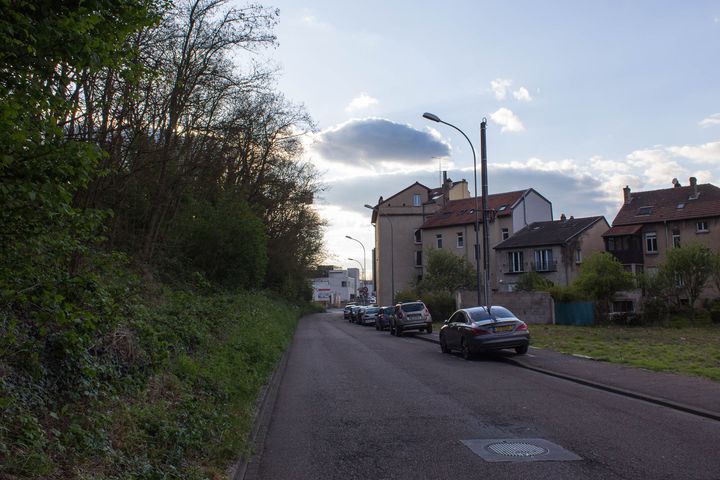 Le talus de la rue Venizélos à Montigny-lès-Metz (Moselle), le 19 avril 2017. (VIOLAINE JAUSSENT / FRANCEINFO)