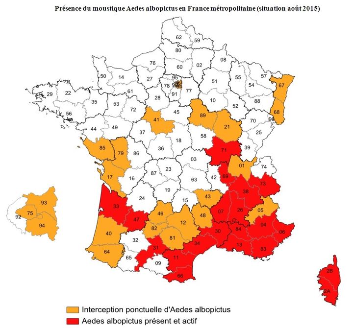 La pr&eacute;sence du moustique tigre en m&eacute;tropole en ao&ucirc;t 2015. (DIRECTION GENERALE DE LA SANTE)