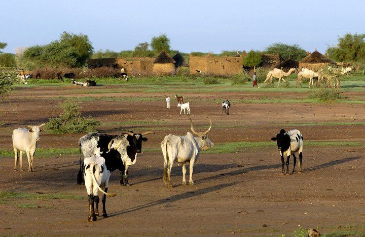 Un village peul aux alentours de Gorom-Gorom en 2006, au nord du Burkina. (PHILIPPE ROY / AURIMAGES)