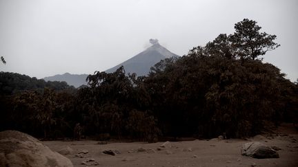 Le&nbsp;volcan de feu, au Guatemala, laisse échapper de la fumée le 4 juin 2018. (FABRICIO ALONZO / ANADOLU AGENCY / AFP)