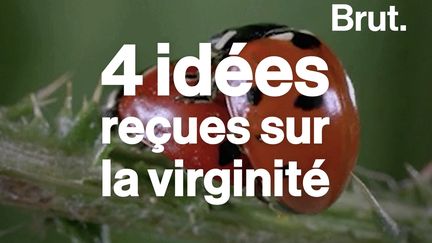 VIDEO. La défloration, la douleur… 4 idées reçues sur la virginité (BRUT)