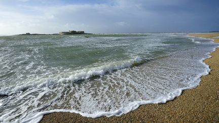 Une exp&eacute;dition scientifique men&eacute;e au printemps 2014 au c&oelig;ur de l'Atlantique Nord a mis en &eacute;vidence la pr&eacute;sence r&eacute;currente de particules de plastique sur une superficie qui pourrait &ecirc;tre deux fois celle de la France. (YANNICK LE GAL / AFP)