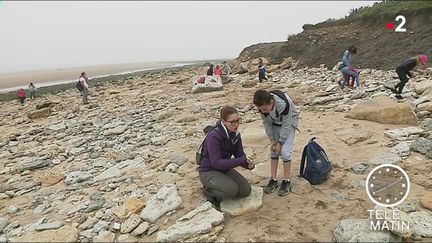 A la recherche de fossiles au Paleospace dans le Calvados (France 2)