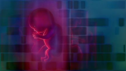 Un scientifique chinois a annoncé le 26 novembre 2018 la naissance de jumelles génétiquement modifiées, une première dans le monde. (MARK GARLICK / AFP)