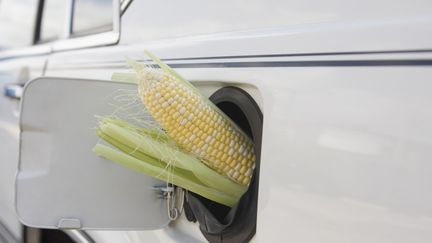 La hausse du prix des carburants fait basculer le choix des consommateurs vers le bioéthanol. (Illustration) (GLOW IMAGES / GLOWIMAGES RF / GETTY IMAGES)