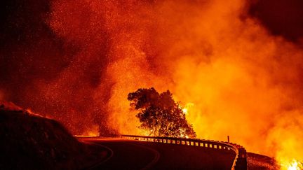 Une route menacée par les flammes du Kincade fire, le 24 octobre 2019 à Geyserville (Etats-Unis). (JOSH EDELSON / AFP)