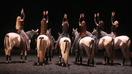 13 cavalières et cavaliers sur scène en osmose avec la musique de Mozart.
 (France 3 Culturebox)