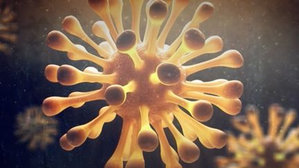 Coronavirus : le virus a muté. (Capture d'écran/France 3)