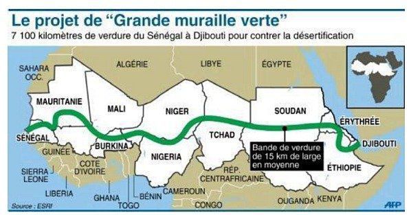 Longue de 7000 km et large de 15, la Grande Muraille verte doit traverser l'Afrique d'Ouest en Est. Du Sénégal à Djibouti. (Infographie AFP)