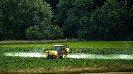 Un agriculteur épand des pesticides à Bailleul (Nord), le 15 juin 2015. (PHILIPPE HUGUEN / AFP)