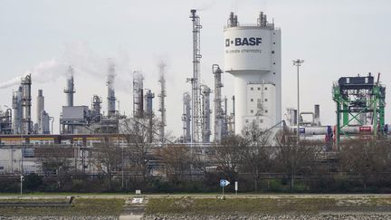 Le site historique de BASF à Ludwigshafen, dans l'ouest de l'Allemagne, le 22 février 2023. (UWE ANSPACH / DPA / AFP)