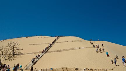 Des touristes grimpent sur la dune du Pilat (Gironde), le 14 août 2014. (MAXPPP)