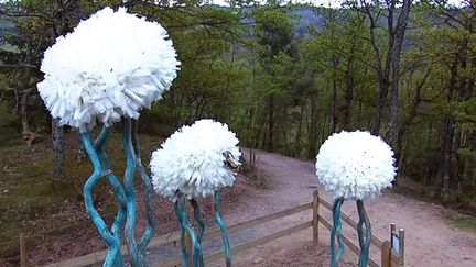 Les moutons de Courzieu
 (France 3 / Culturebox capture d&#039;écran)